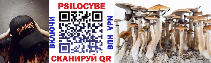 Псилоцибиновые грибы Cubensis  Кореновск 